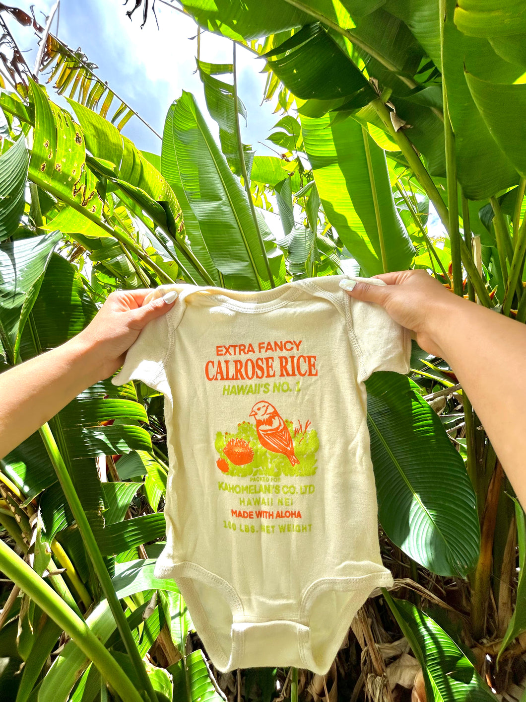 ʻĀkepa Rice Bag Onesie and Keiki Shirt
