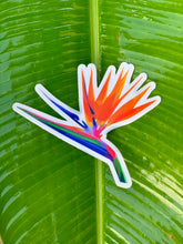 Load image into Gallery viewer, Bird of Paradise Clear Sticker
