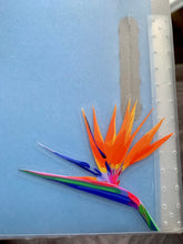 Load image into Gallery viewer, Bird of Paradise Clear Sticker
