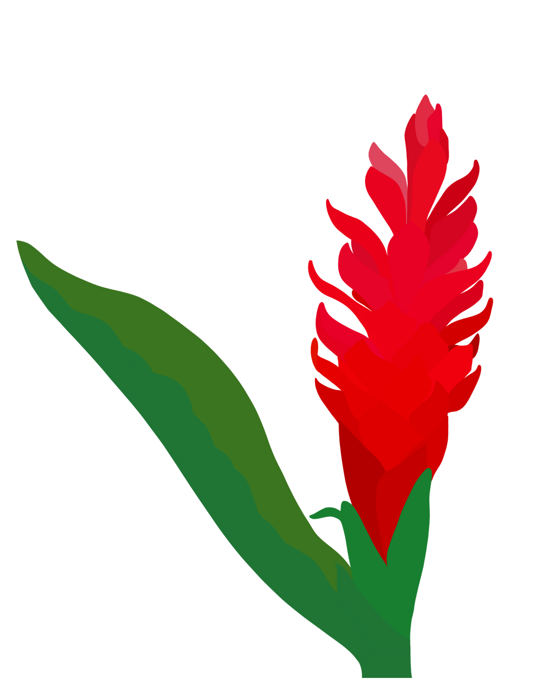 Red ʻAwaphui Sticker