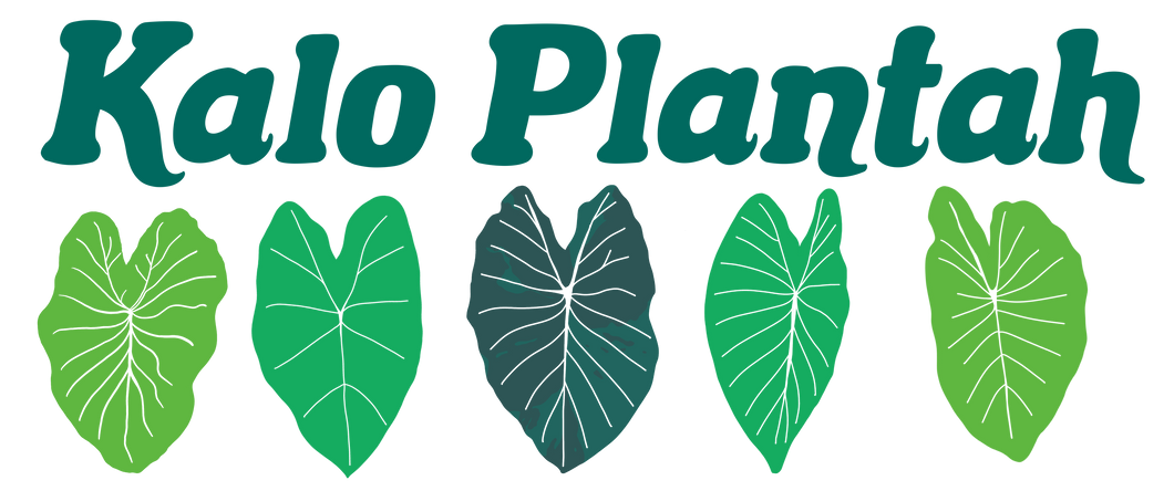 Kalo Plantah Sticker