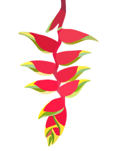 Load image into Gallery viewer, Heliconia Rostrata Sticker
