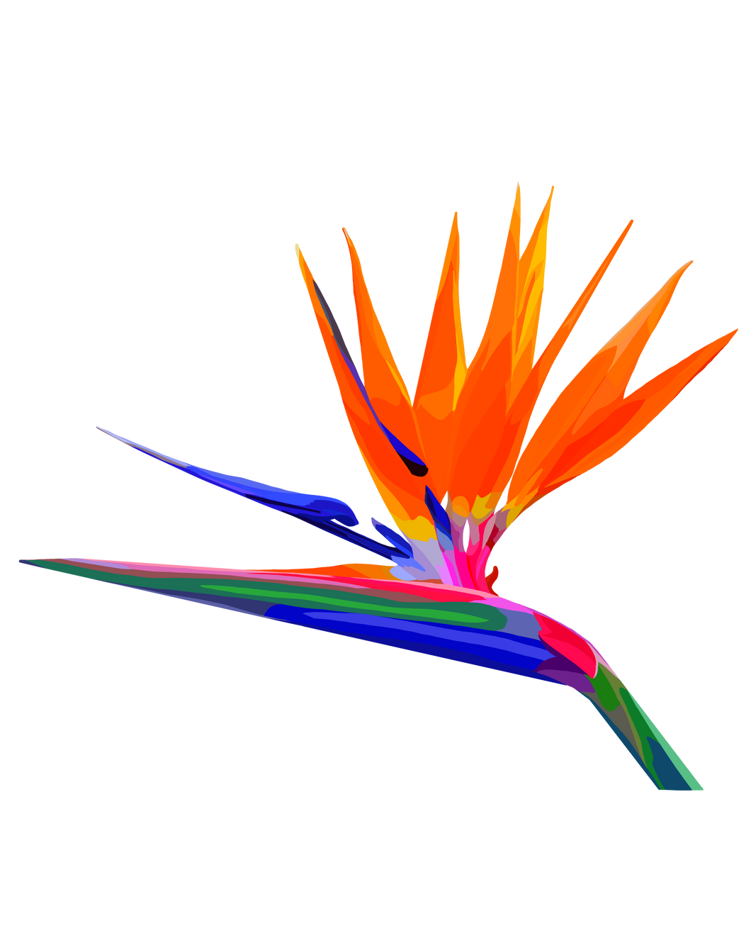 Bird of Paradise Clear Sticker